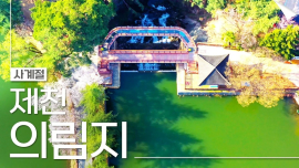 제천 의림지와 제림의 사계