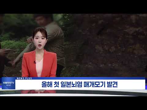 충북도보건환경연구원, 올해 첫 일본뇌염 매개모기 발견