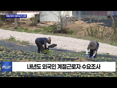횡성군, 계절근로자 프로그램 참여 농가 신청