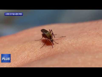 동대문구, 스마트 모기감시장비로 정밀 방제