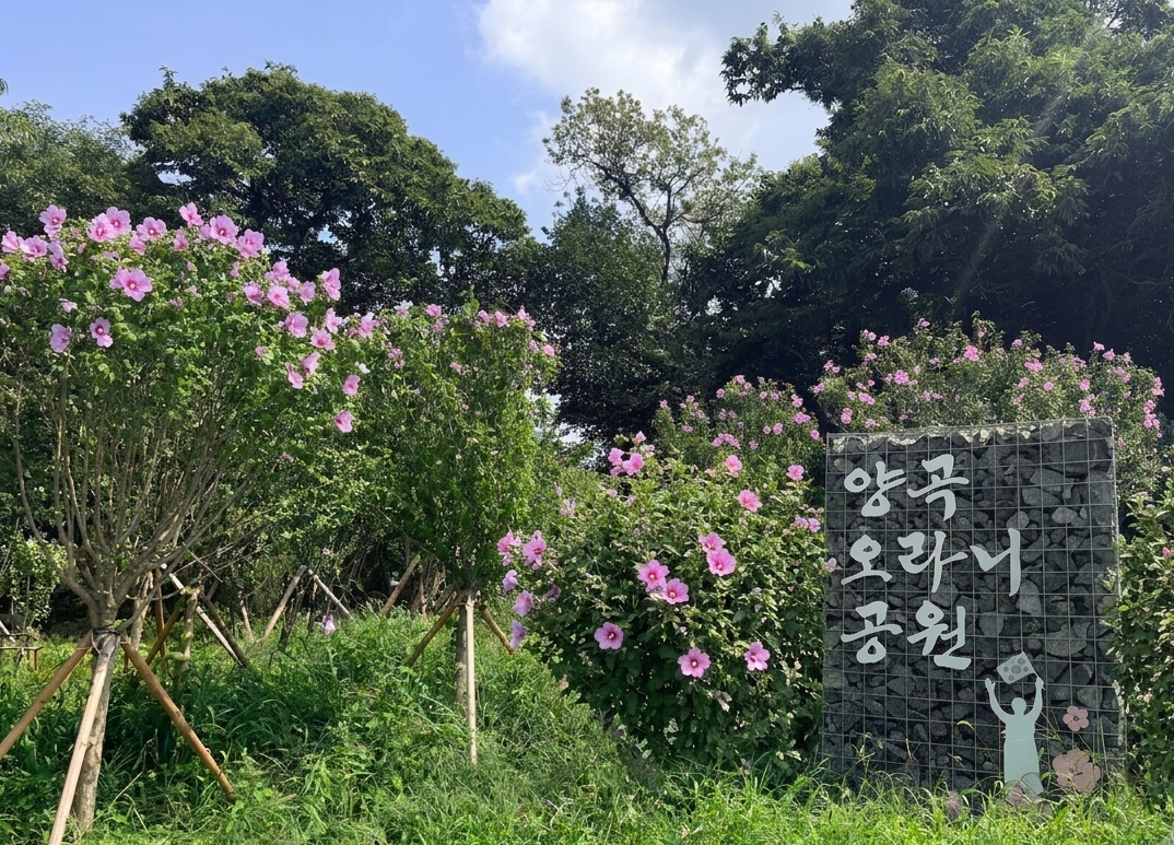 경기도, 나라꽃 무궁화 생활권으로…올해 3곳에 동산 조성