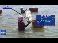 줄어드는 재첩에 영호남 어민 충돌까지