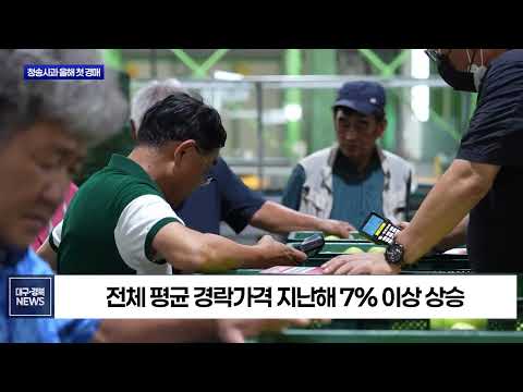청송사과 첫 경매부터 ‘대박’…초홍 20kg 30만 원