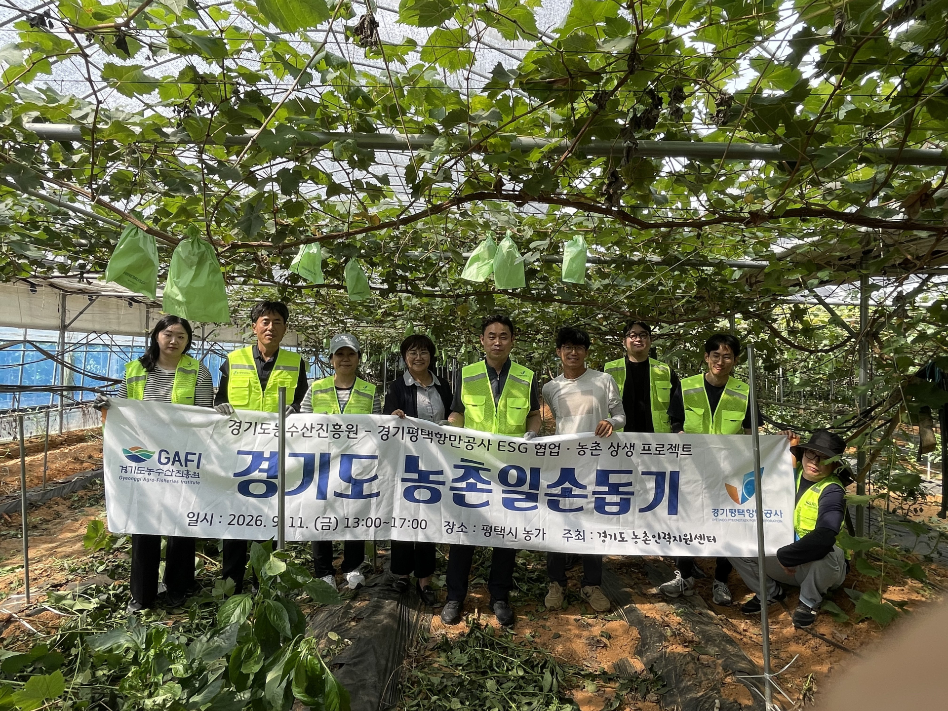 경기평택항만공사, 평택 농가 찾아 가을철 일손 돕기…도농상생 실천