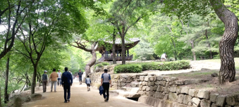 문경새재, 추석 연휴 8만여 명 방문…“명품 관광지 위상 재확인”