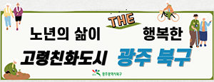 고령친화도시