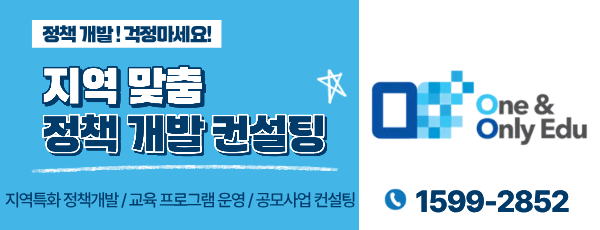 지역 맞춤 정책 개발 컨설팅